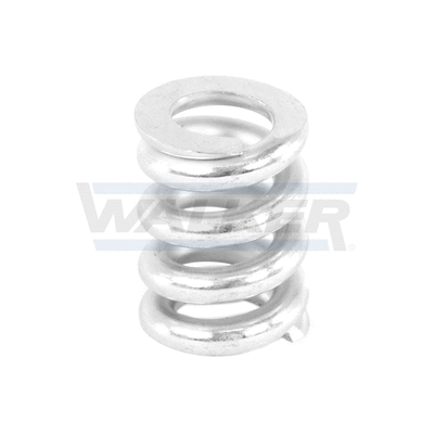 Spring, muffler