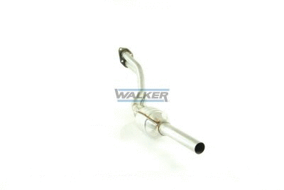Catalytic Converter (20204)