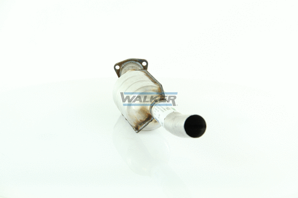Catalytic Converter (28822)
