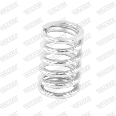 Spring, muffler
