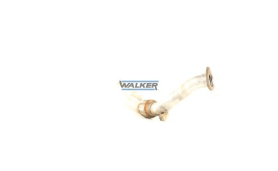 Exhaust Pipe