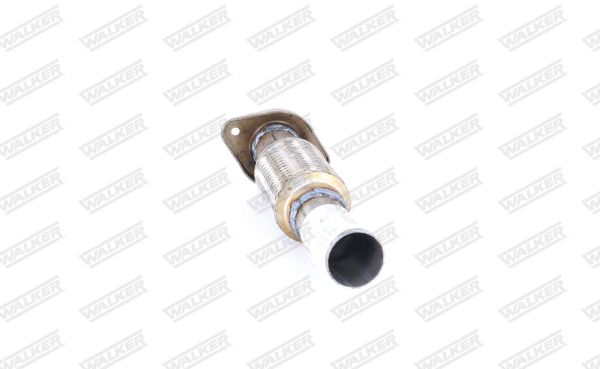 Exhaust Pipe