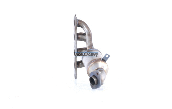 Catalytic Converter (28799)