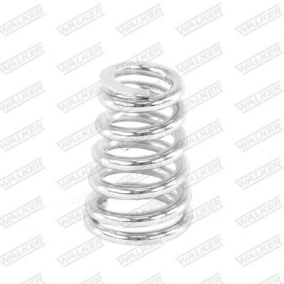 Spring, muffler