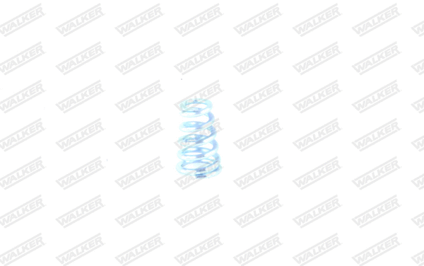 Spring, muffler