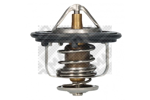 Thermostat, coolant (28042)