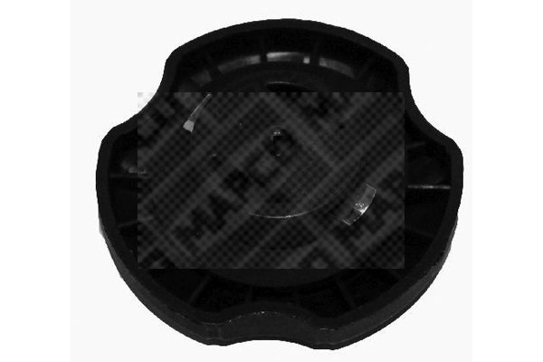 Sealing Cap, oil filler neck (79005)