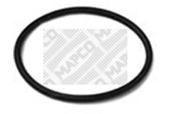 Seal, thermostat (28800/7)