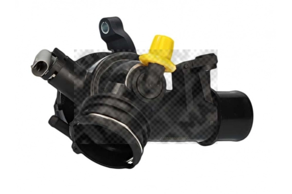 Thermostat, coolant (28131)