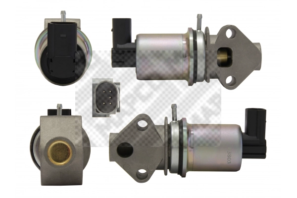 EGR Valve
