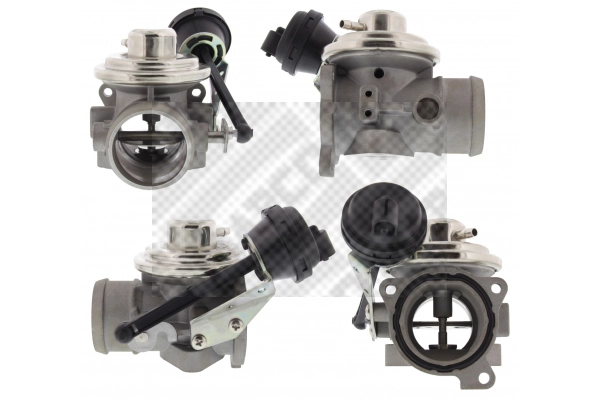 EGR Valve