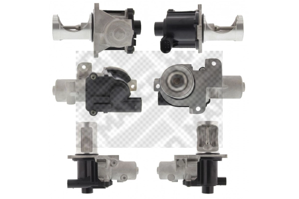 EGR Valve