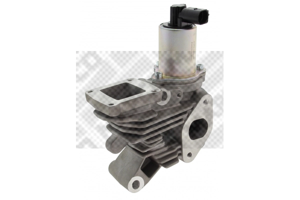 EGR Valve (83105)