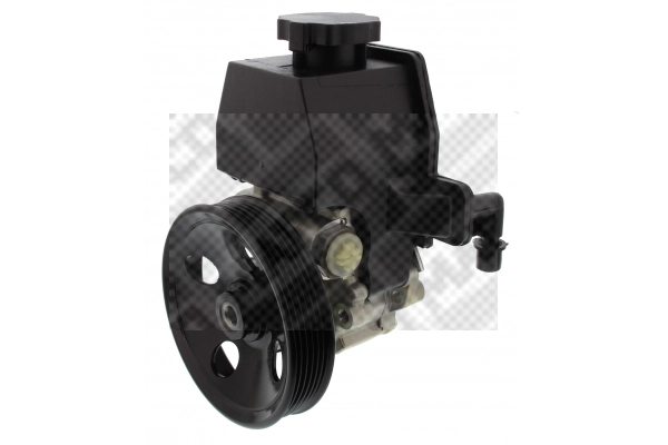 Hydraulic Pump, steering (27876)