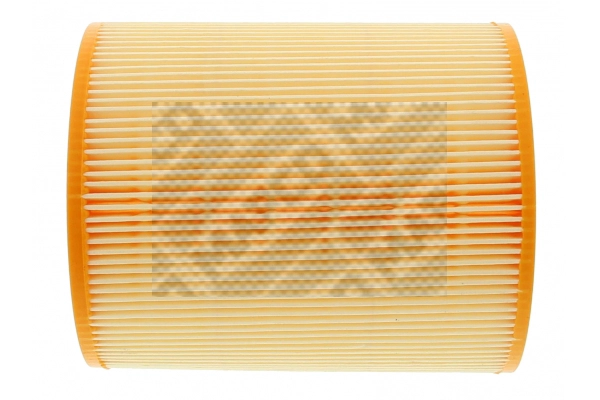 Air Filter (60244)