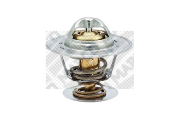 Thermostat, coolant (28061)
