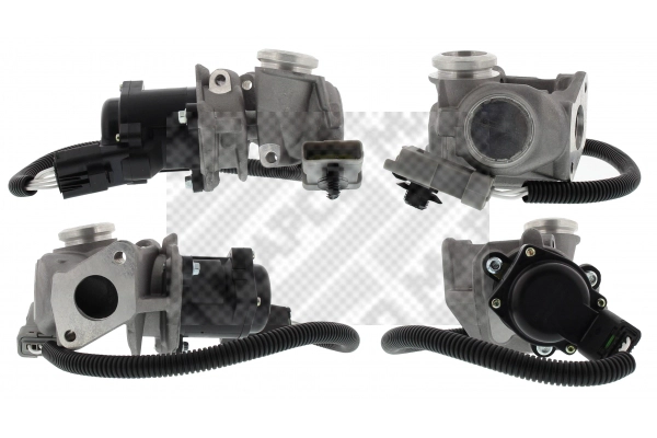 EGR Valve