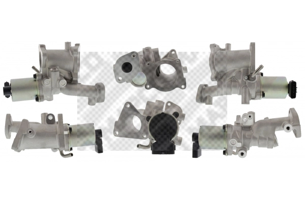 EGR Valve