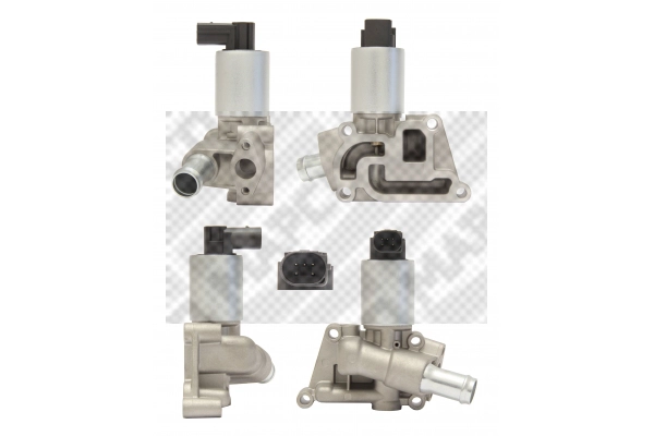 EGR Valve