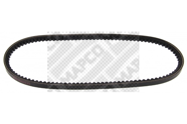 V-Belt (100695)