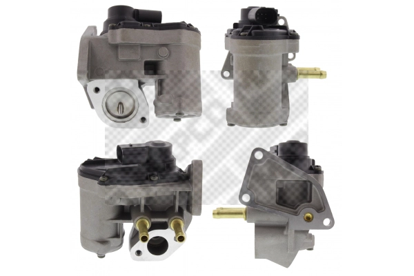 EGR Valve