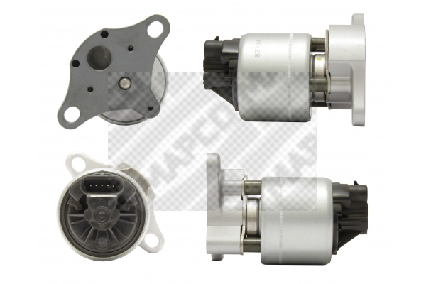 EGR Valve