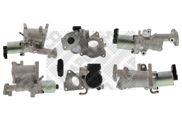 EGR Valve