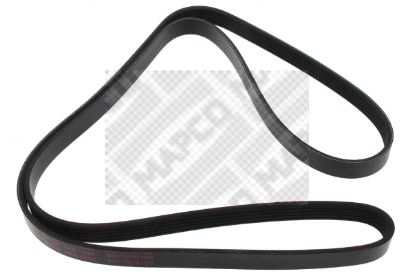 V-Ribbed Belt (251646)