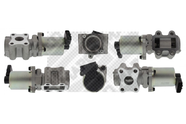 EGR Valve