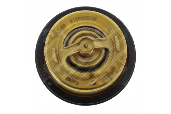 Thermostat, coolant
