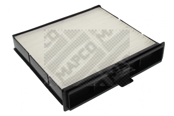 Filter, cabin air (65119)