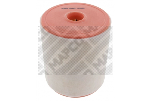 Air Filter (60442)