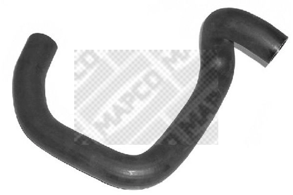 Radiator Hose (39186)