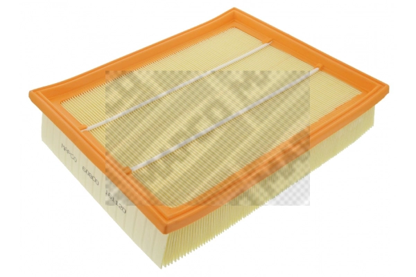 Air Filter (60800)
