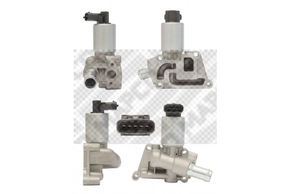 EGR Valve