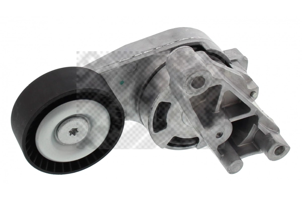Tensioner Lever, V-ribbed belt (24893)