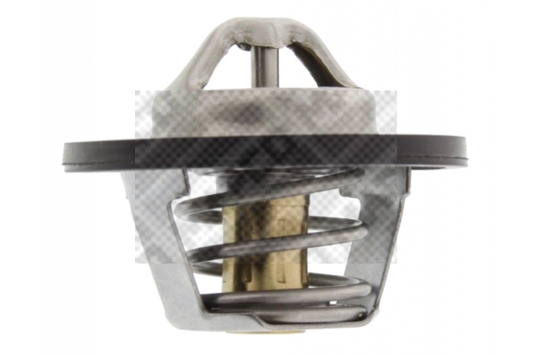 Thermostat, coolant (28102)