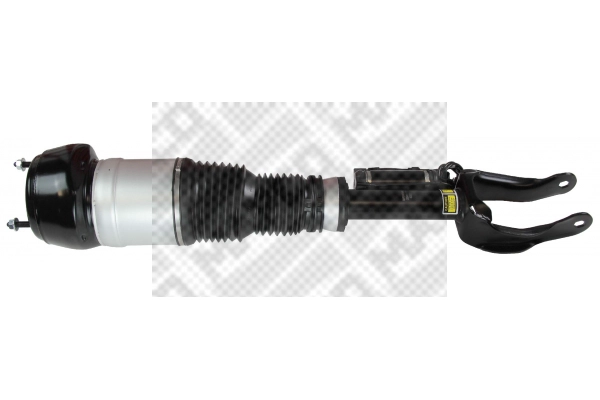 Air Spring, suspension (40871)