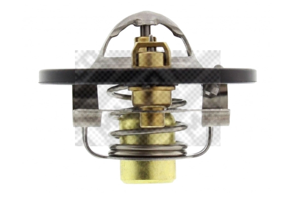 Thermostat, coolant (28704)