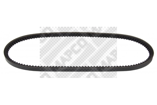 V-Belt (100763)