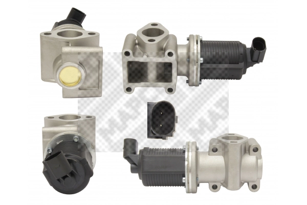 EGR Valve