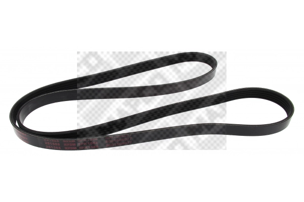 V-Ribbed Belt (251588)