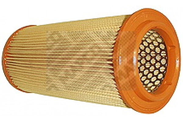 Air Filter (60010)