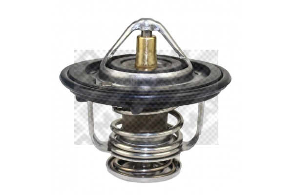 Thermostat, coolant (28122)