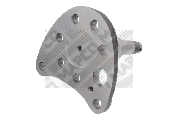 Steering Knuckle, wheel suspension