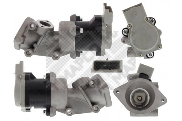 EGR Valve