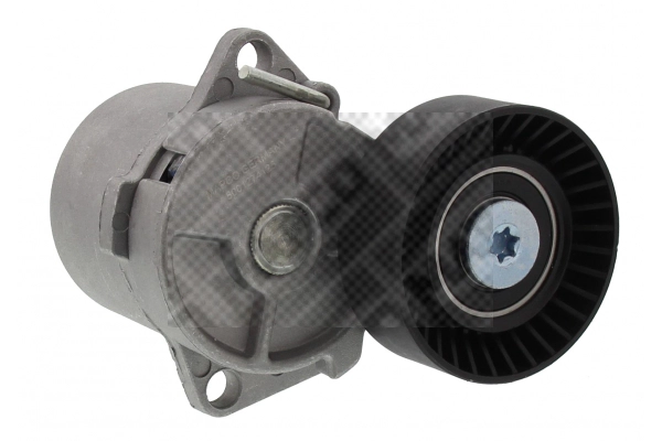 Tensioner Lever, V-ribbed belt (23666)