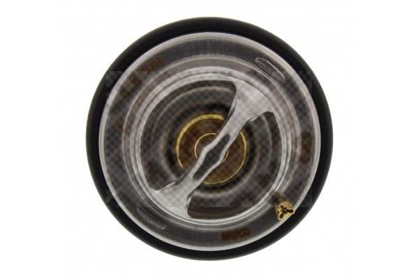 Thermostat, coolant
