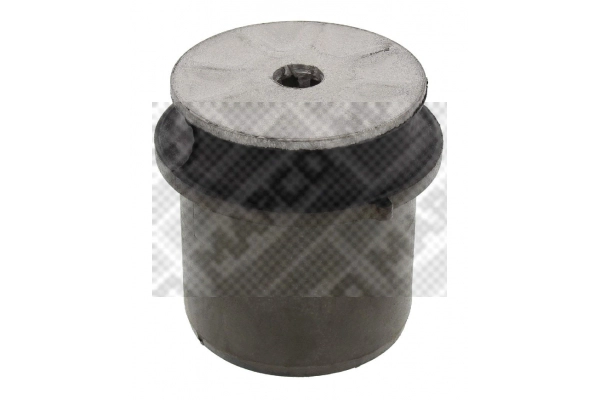 Bushing, axle beam (38887)