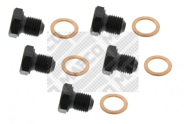 Screw Plug, oil sump (95955/5)
